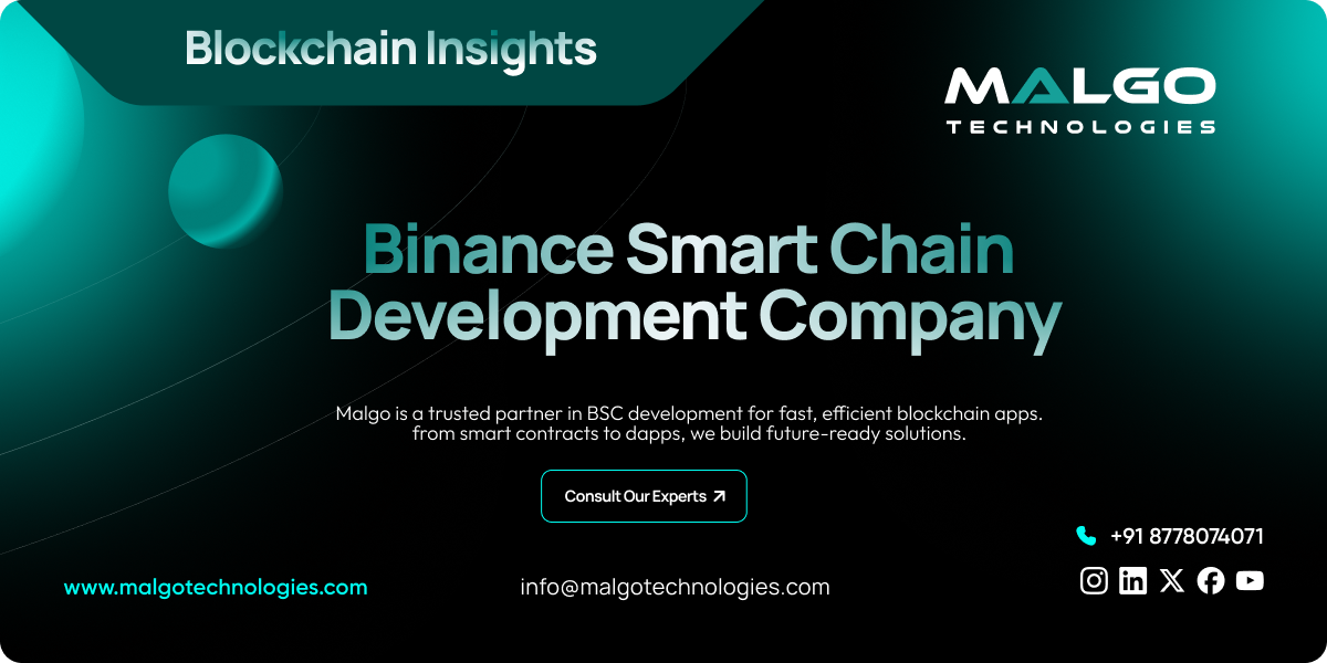 Binance Smart Chain Development Binance Smart Chain Development