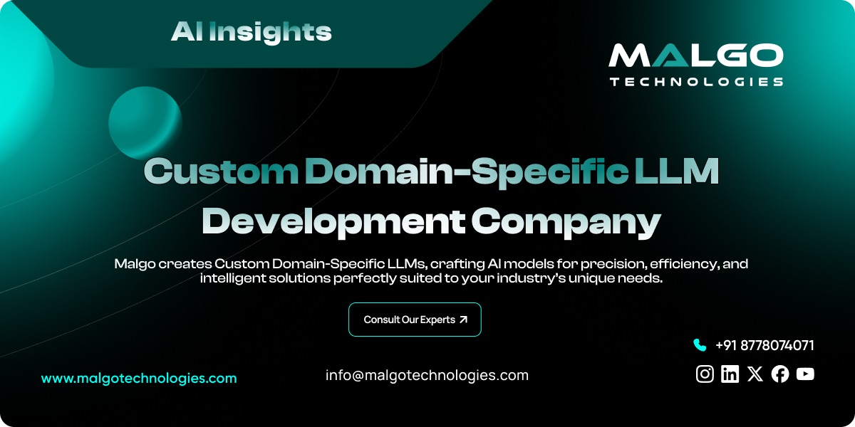 Custom Domain-Specific LLM Development Company