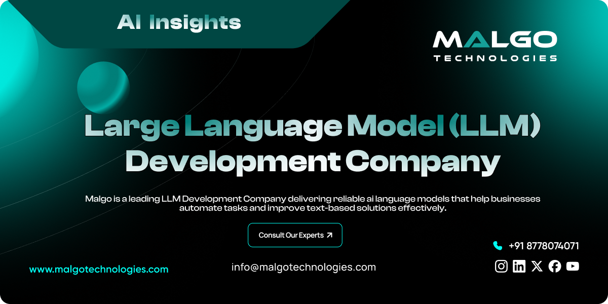 LLM Development LLM Development