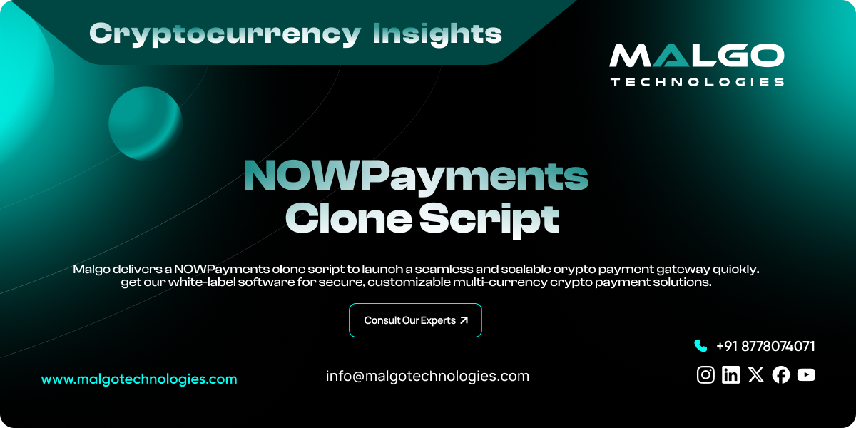 NOWPayments Clone Script NOWPayments Clone Script