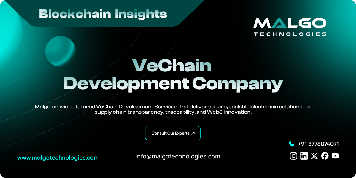 VeChain Development