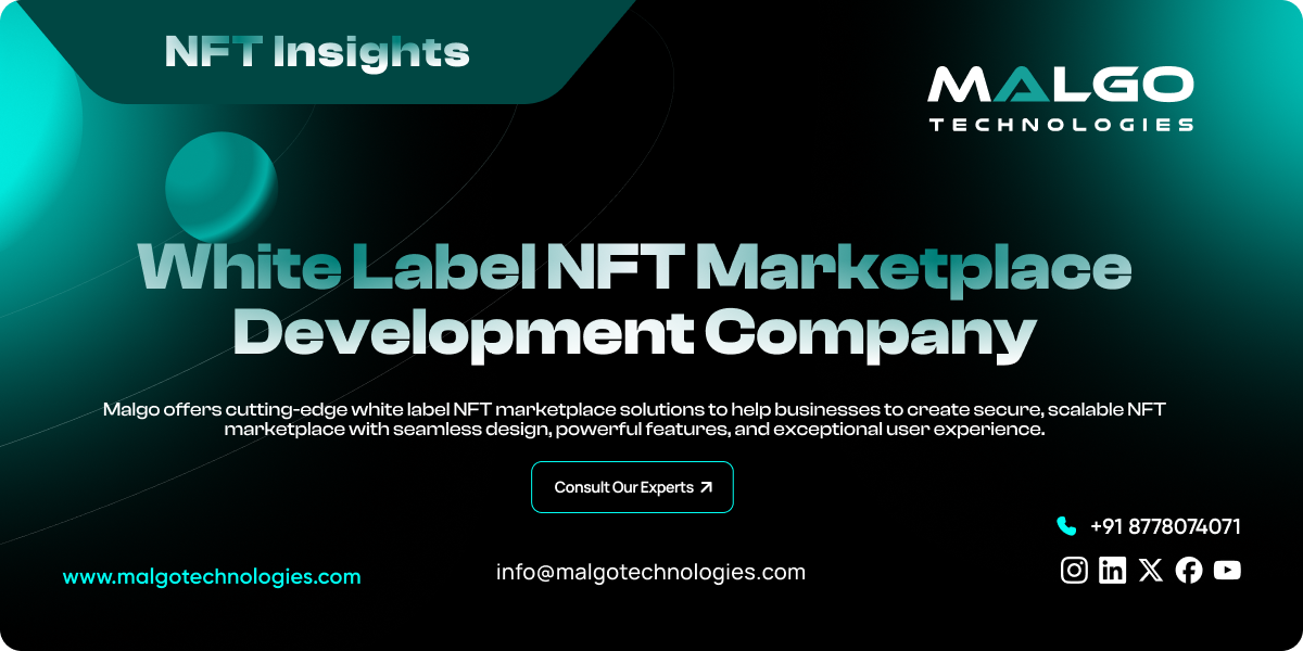 White Label NFT Marketplace Development Company